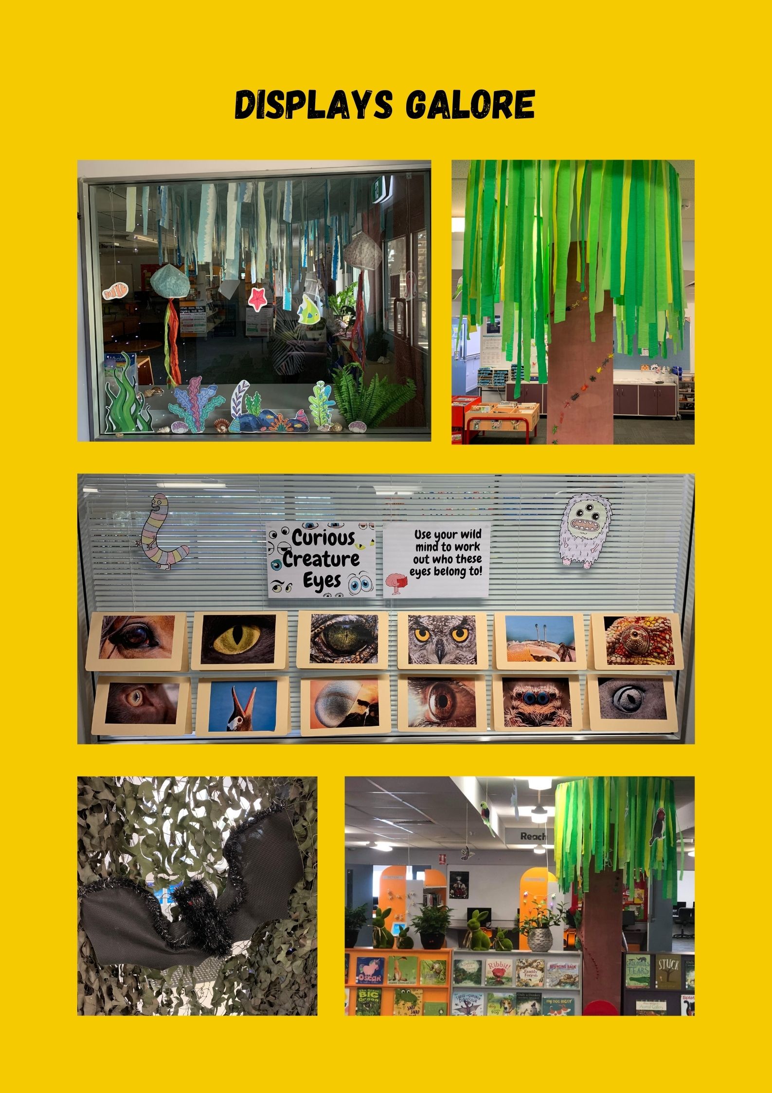 Displays Galore.jpg