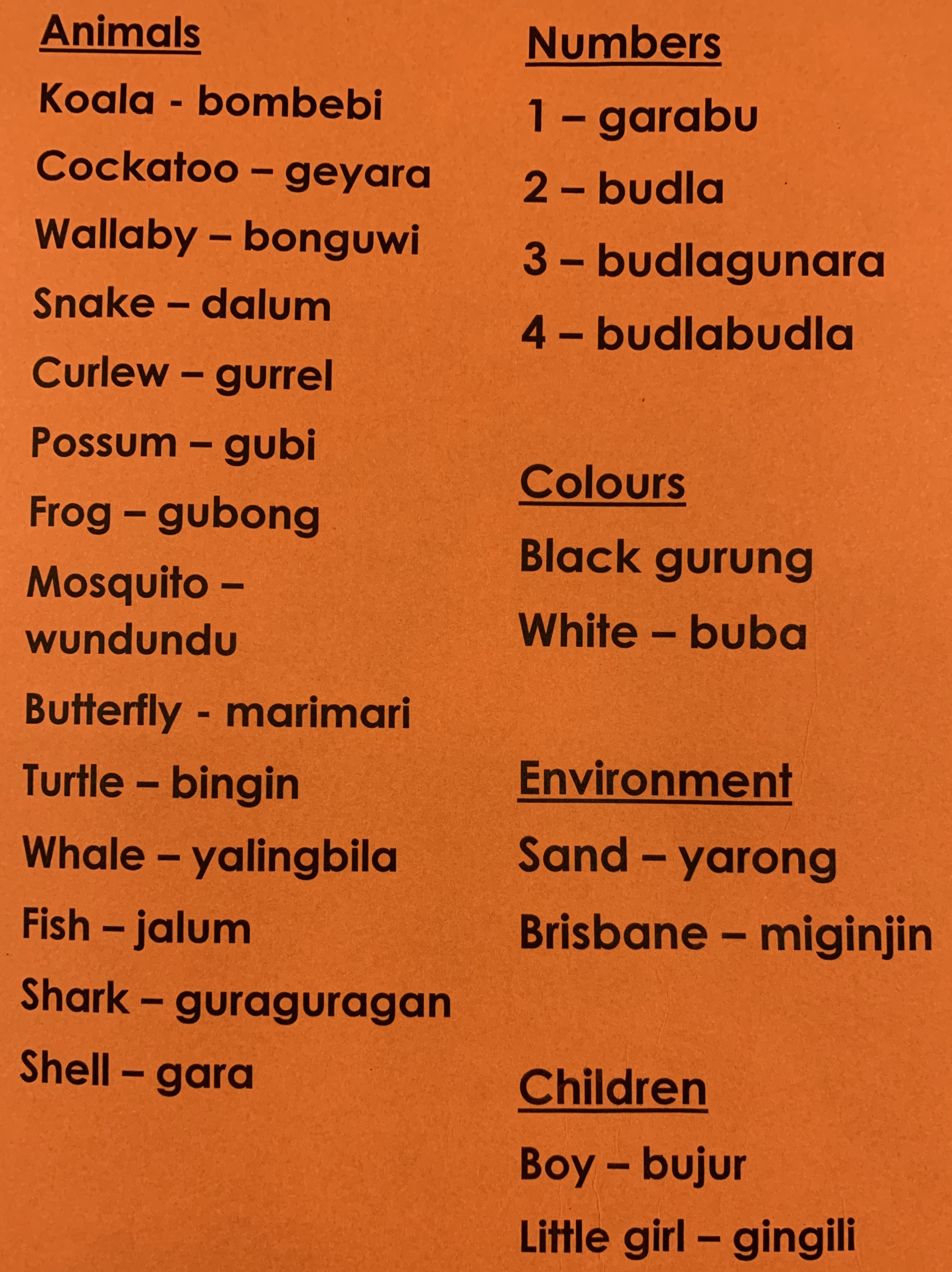 yr5glossary.jpg